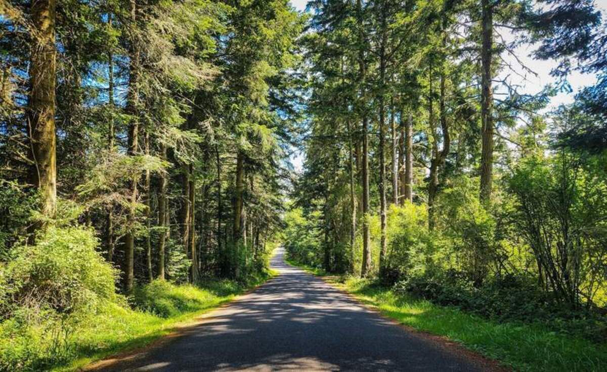  Lopez Island is known for its relaxing countryside and wild beauty. Photo credit: June Russell-Chamberlin 