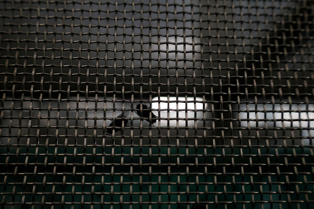 A view of a fly colony in its enclosure during a media tour following the opening of a sterile fly production plant, a key step to contain the cross-border spread of the New World screwworm and its impact on cattle trade, in Metapa de Dominguez, Chiapas, Mexico, June 27, 2026. REUTERS/Damian Sanchez