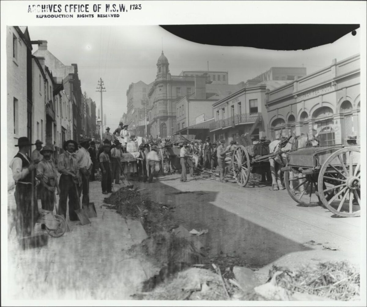 (Photographic Collection via Wikimedia Commons) 