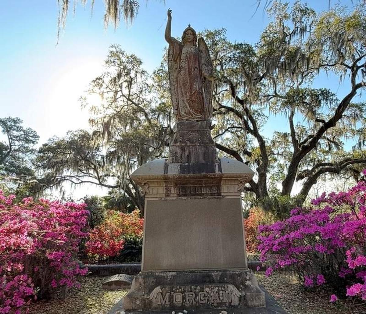  Gravestone angel at Bonaventure Cemetery framed by live oaks, Spanish moss, and azaleas. Photo credit: Sharon Kurtz 