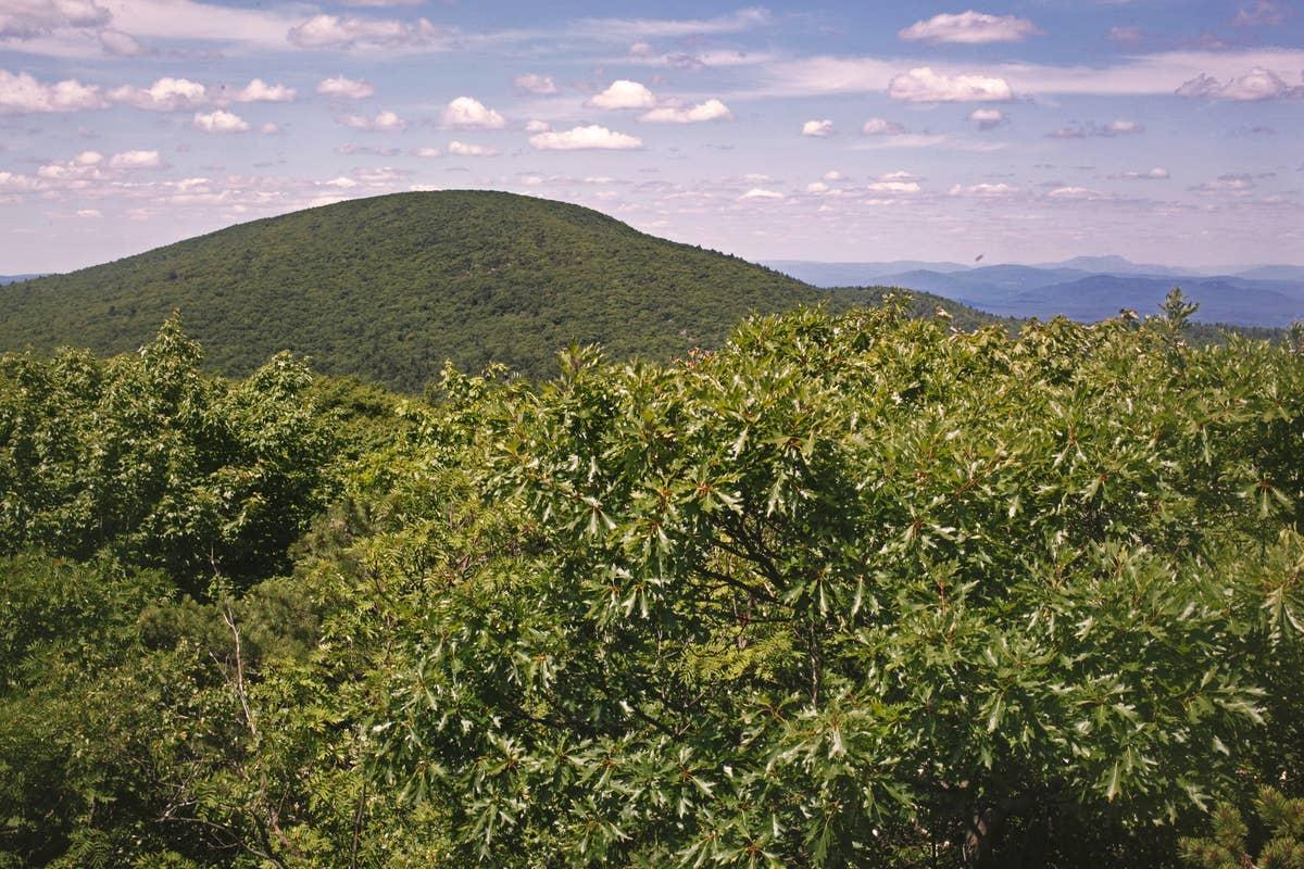  Mount Everett is one area linked to rattlesnakes in Massachusetts.