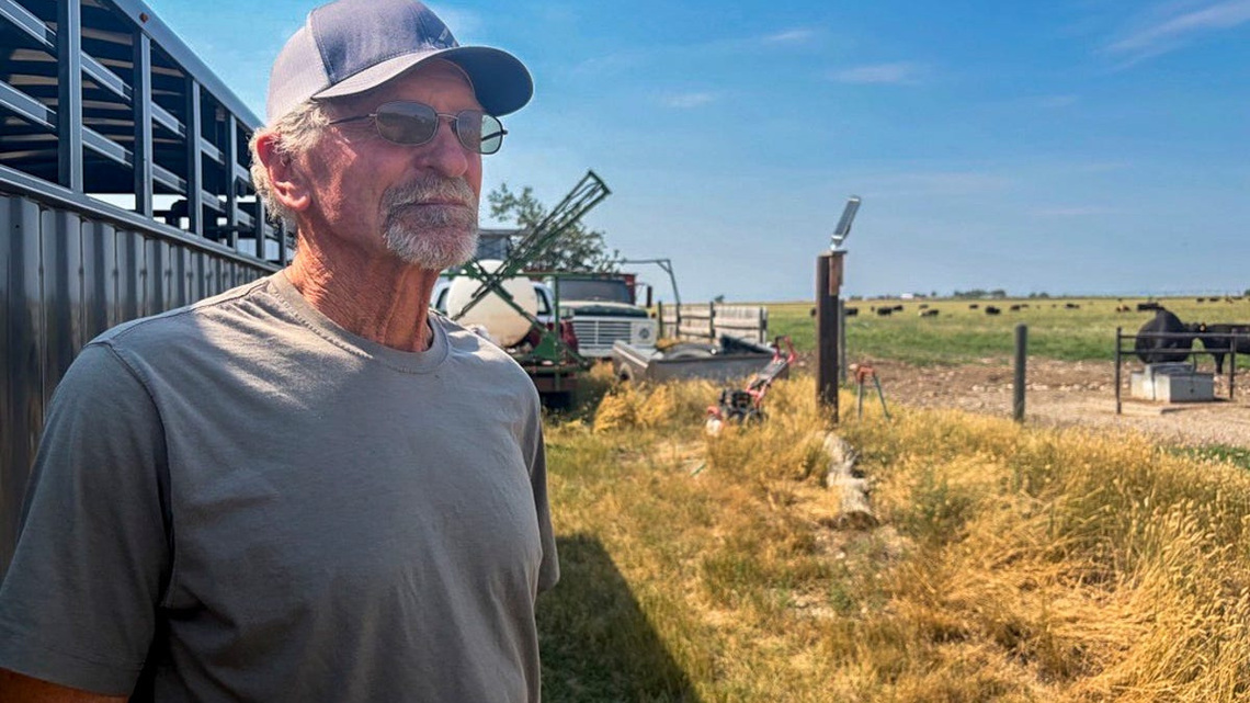In this red state, cattle ranchers are fuming. They blame Trump. 