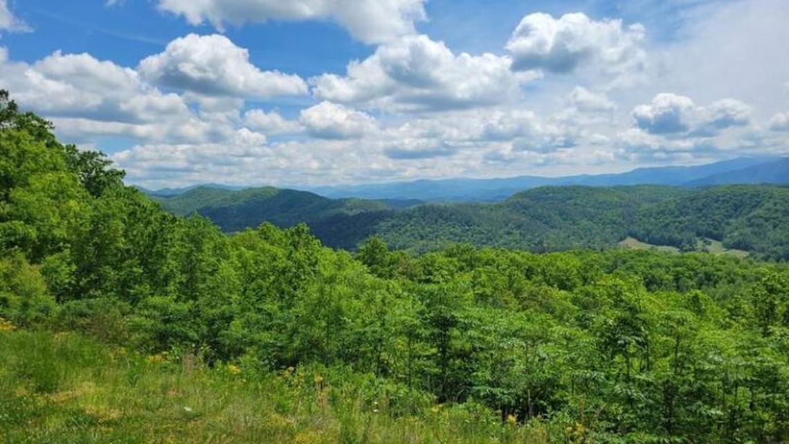 Discover the Healing Power of a Smoky Mountains Nature Retreat 