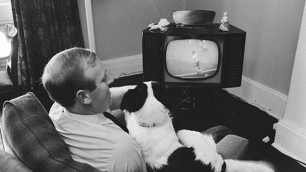 Pickles sniffed out the World Cup trophy. | Bill Rowntree/Daily Mirror/Mirrorpix/Getty Images 