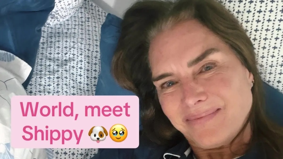 Brooke Shields Shows Off Her Silver Roots After Daughter Teased Her Grays 