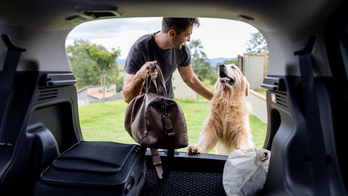 Save on Stylish Pet Travel Gear and Beds During Noah & Paw's Amazon Sale 