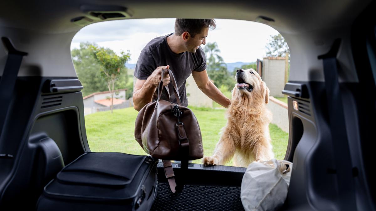 Happy Brazilian man going on a road trip with his dog and putting the bags in the trunk