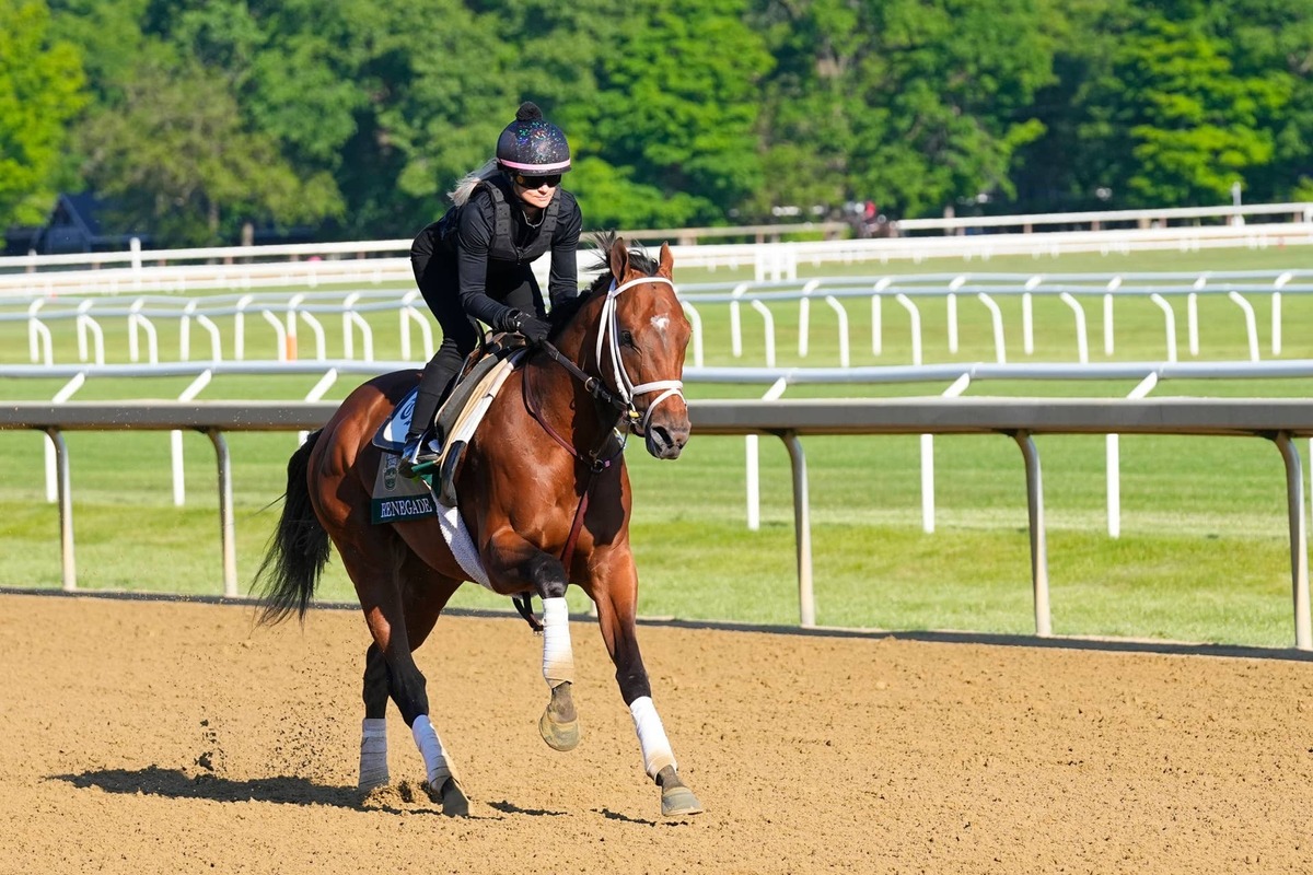  Renegade trains during morning workouts at the Oklahoma Training Track in Saratoga Race Course. Gregory Fisher-Imagn Images