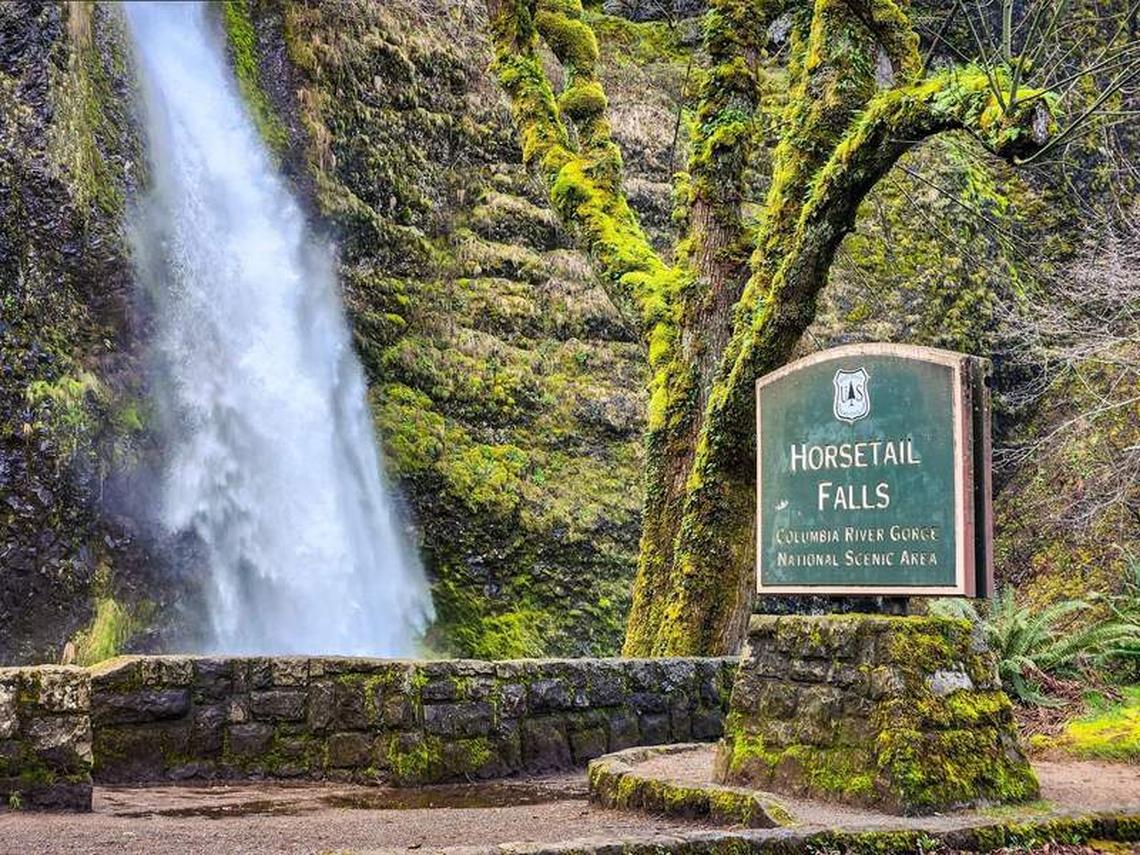  Many Columbia River Gorge waterfalls are just steps from the historic highway. Photo credit: June Russell-Chamberlin 