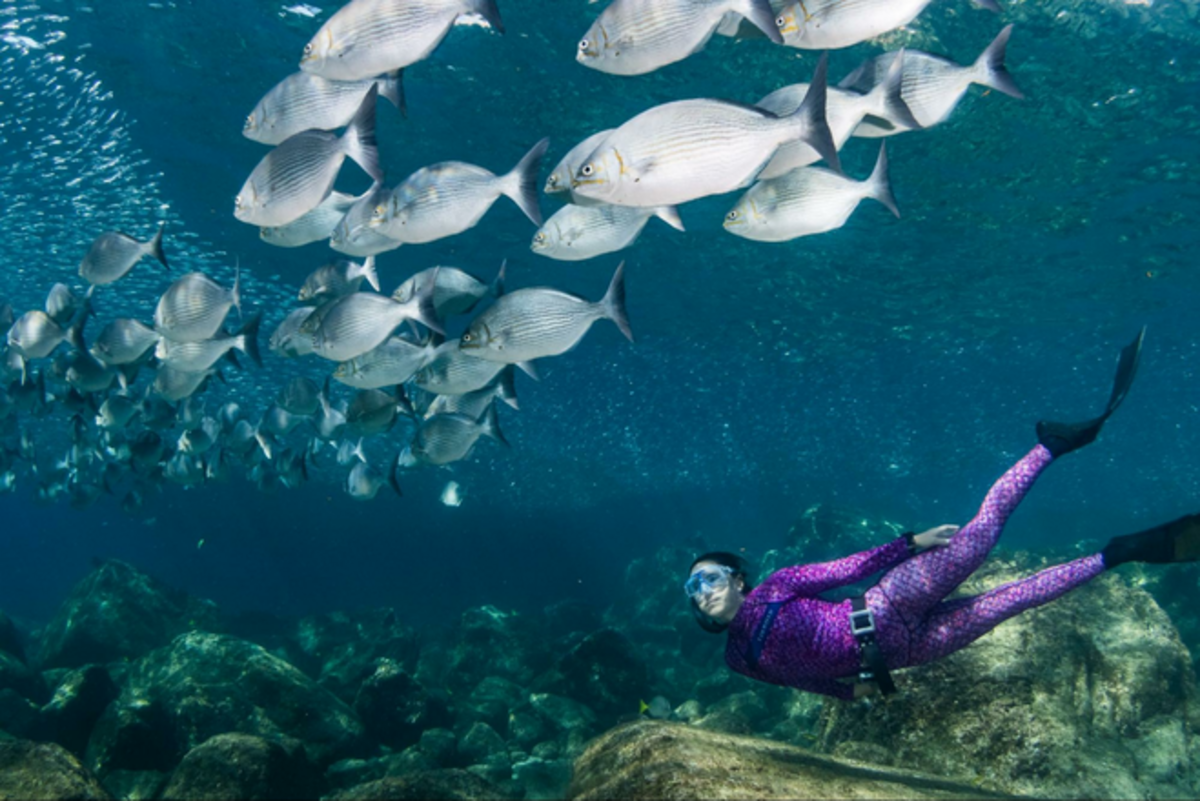 A reef in the Archipelago of Espiritu Santo National Park. Photo Credit: Colin Ruggiero