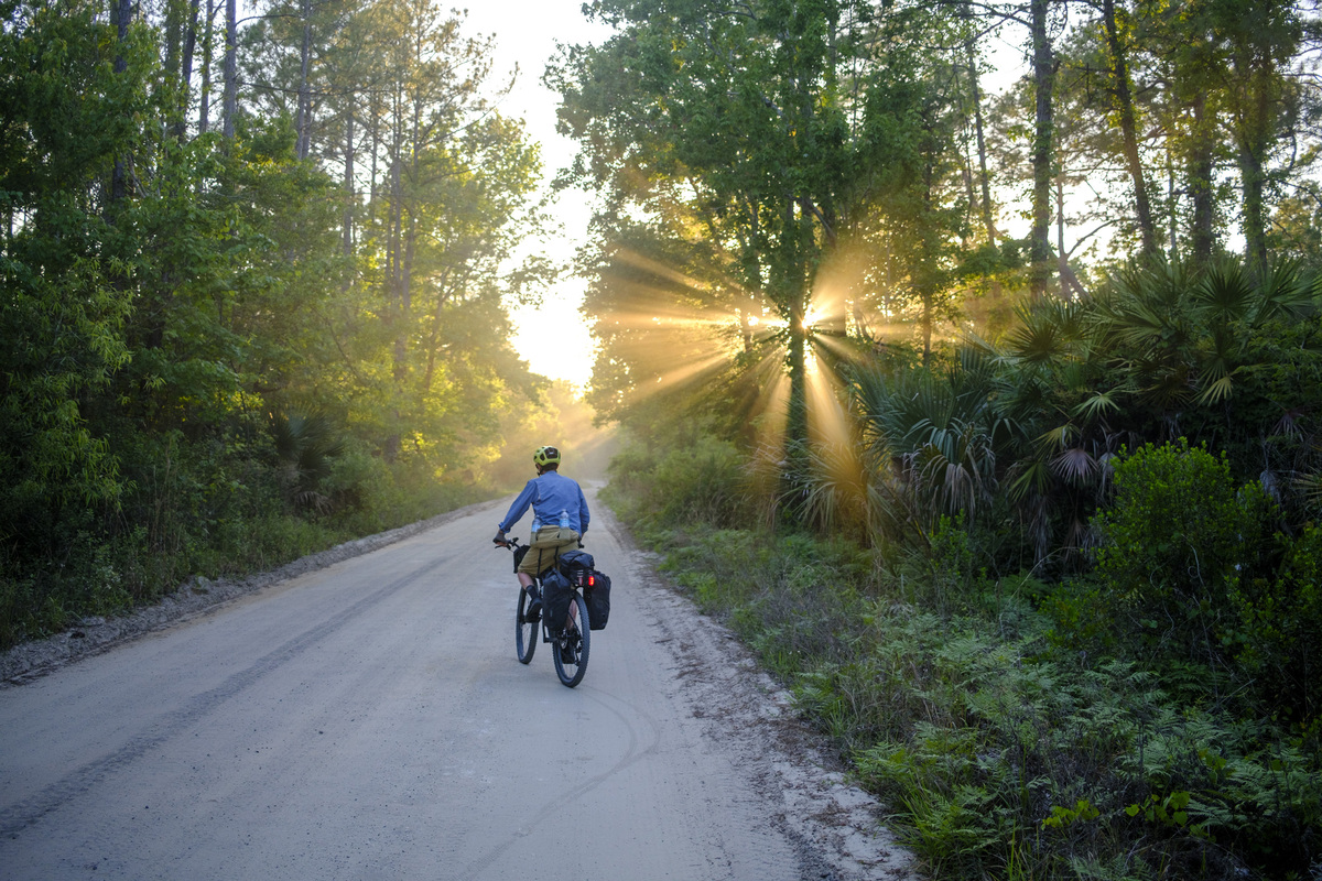 Patrick Connolly/Orlando Sentinel/TNS