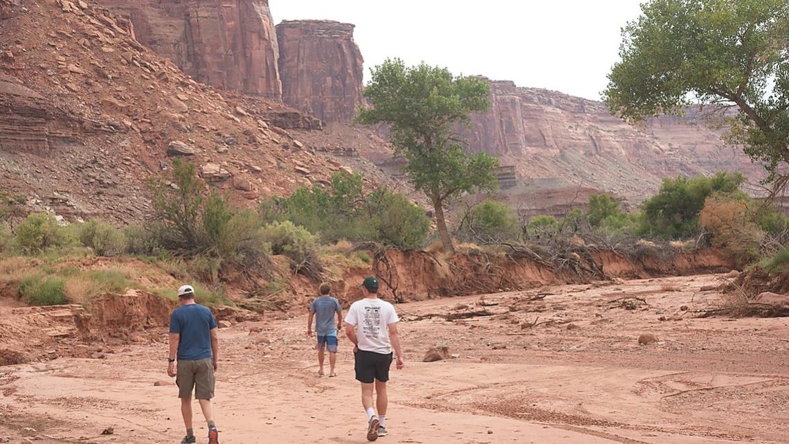 Officials Issue Strong Weather Warning After Near-Fatal Hiking Incident 