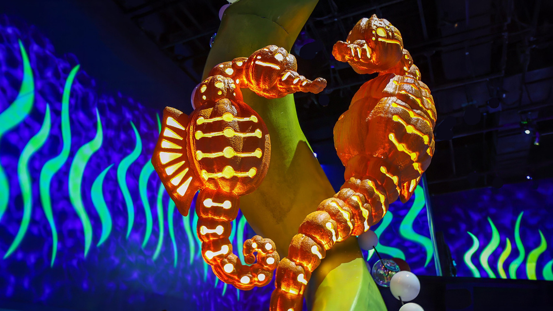 Worth the Drive: Catch Newport Aquarium's Underwater Pumpkin Glow
