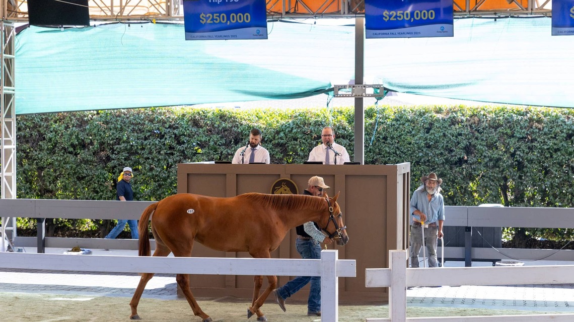 Fasig-Tipton's California Fall Yearlings Sale Catalog Now Available 