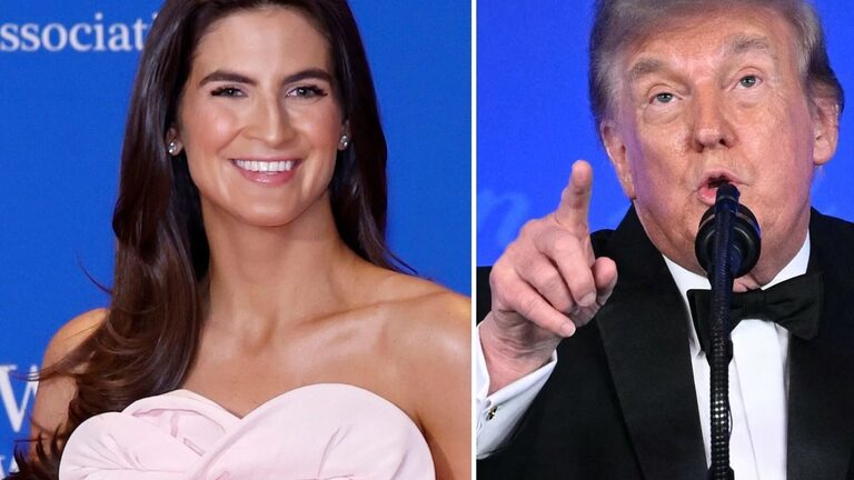 CNN's Kaitlan Collins Seemingly Responds to Donald Trump Insult at WHCD 