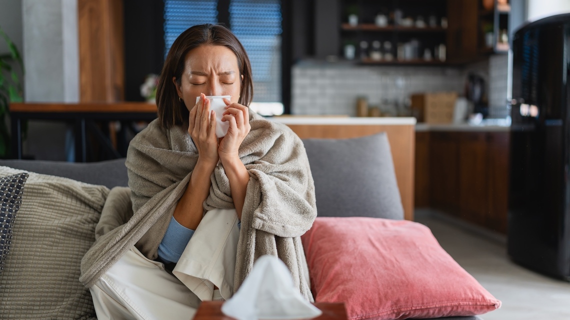 How to Flu-Proof Your Home With EPA-Approved Disinfectants, HEPA Filters and Smart Habits