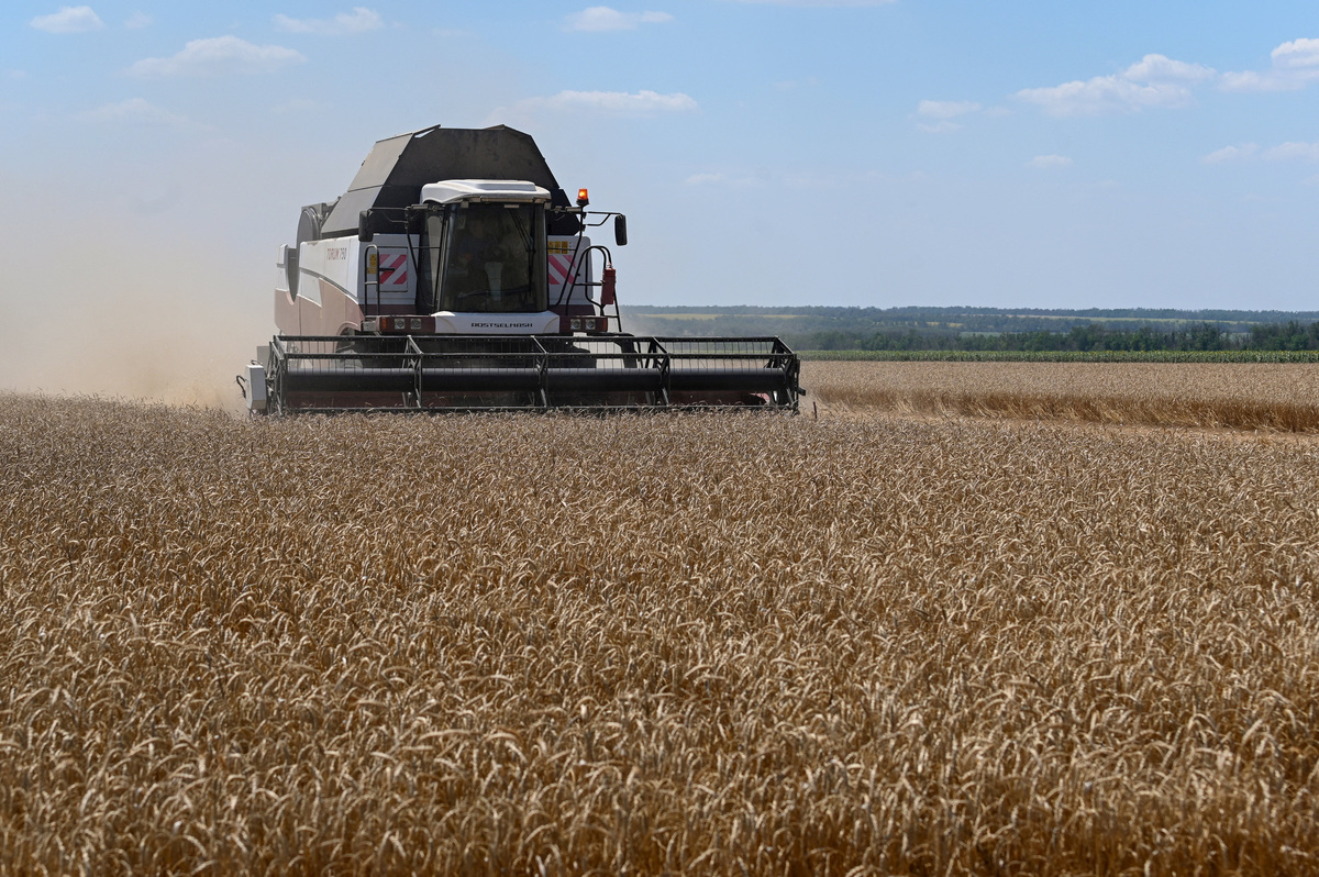 A combine harvests wheat in a field in the Rostov Region, Russia July 14, 2026.  REUTERS/Sergey Pivovarov
