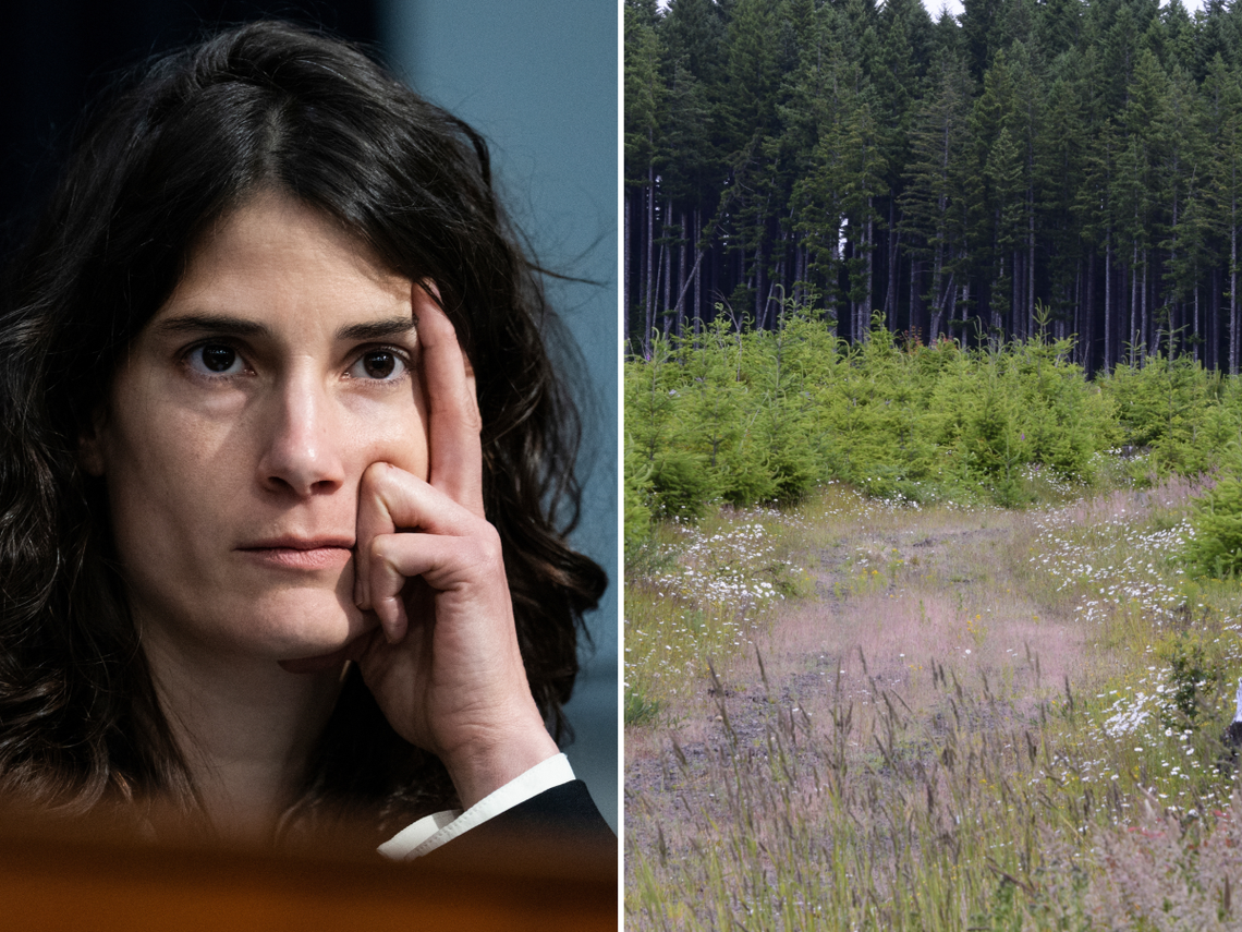  Washington Representative Marie Gluesenkamp Perez and forest land in the state in 2020. 