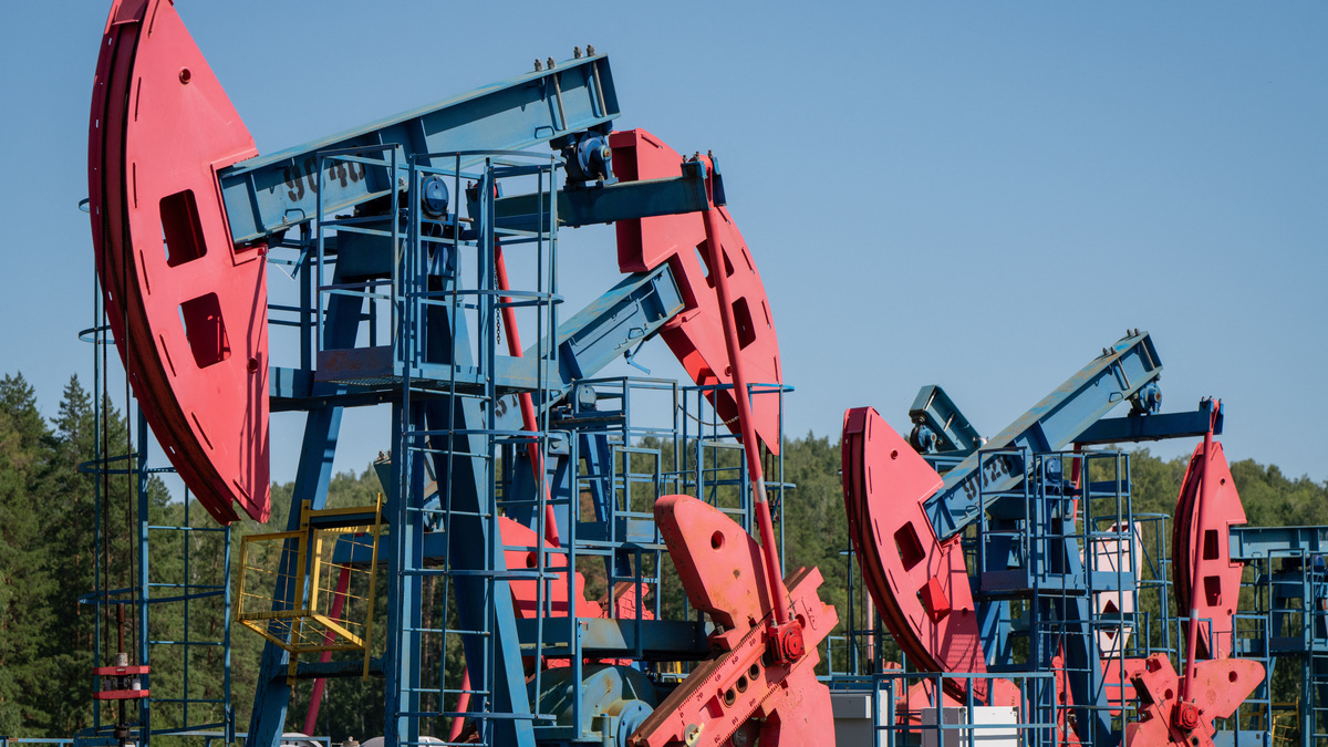 A view shows oil pump jacks outside Almetyevsk, in the Republic of Tatarstan, Russia July 14, 2025. REUTERS/Stringer