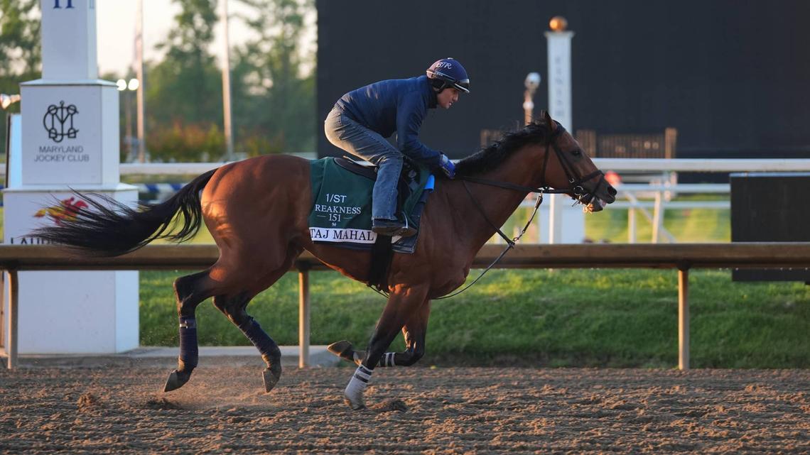 Preakness Stakes 2026 Predictions: Favorites, Sleepers and Longshot Picks 