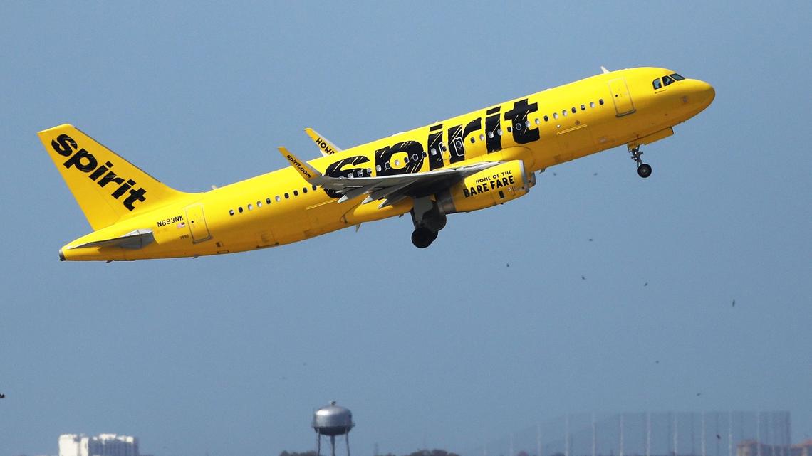 Spirit floats government stake to avoid possible liquidation
