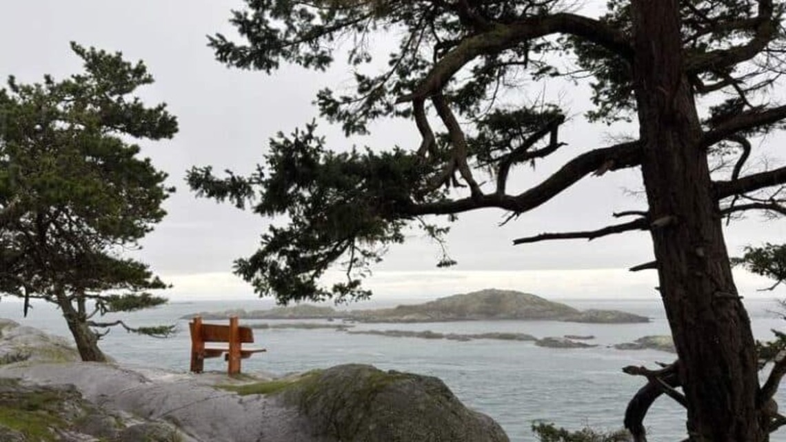Washington's San Juan Islands Solo Travel Guide 