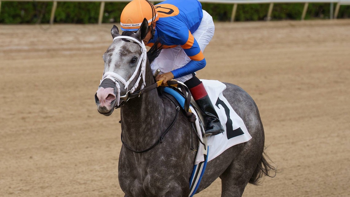Princess Rooney Highlights Gulfstream's Sunshine Meet Stakes Schedule 