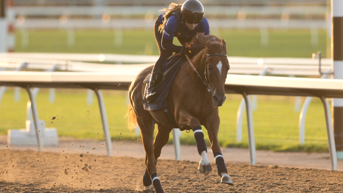 European Import Silius ‘Needs To Settle' In Casa Creed Stakes 