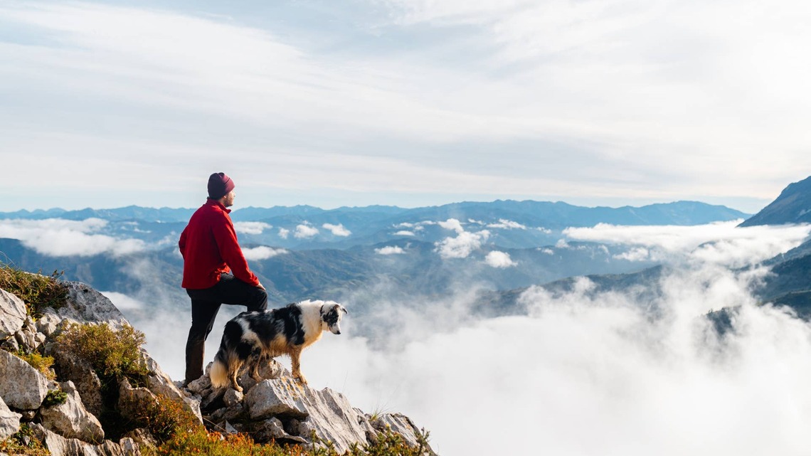 Pup-Favorite Dog Treat Brand Announces Limited-Edition Flavors That Raise Money for National Parks 