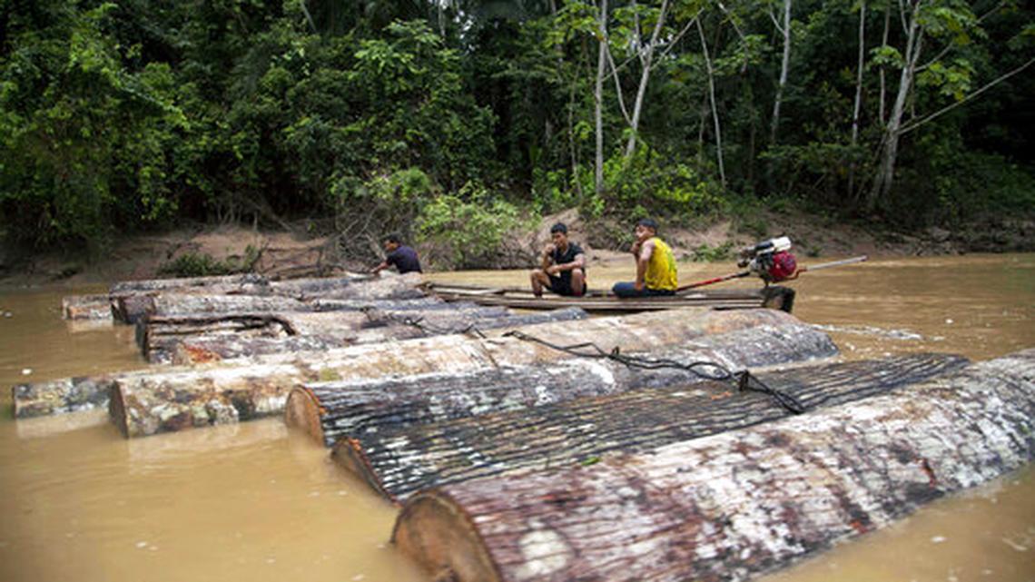 A 2015 file photo shows Ashaninka Indian men, identified by locals as illegal loggers, tying tree trunks together to move them on the Putaya River near Saweto, Peru. In 2019, authorities said they charged five men in the timber industry with homicide in the deaths of indigenous activists battling illegal logging.