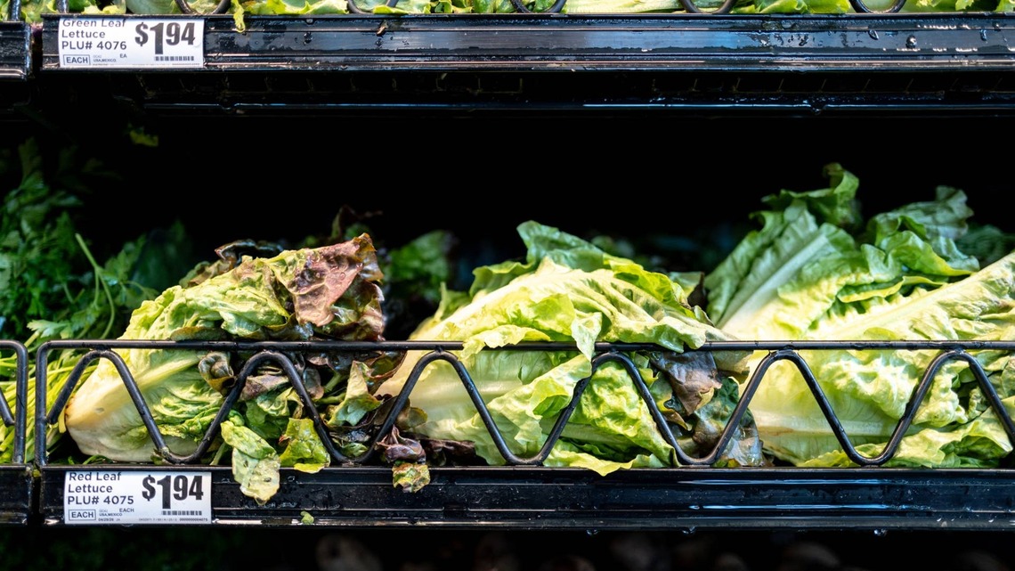 Is It Safe to Eat Lettuce Again? What to Know After the Cyclospora Outbreak 