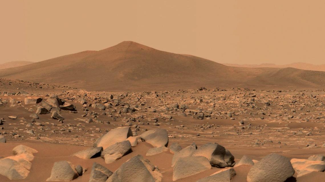 Could an earthly fungus contaminate Mars? NASA may have found one hardy enough.
