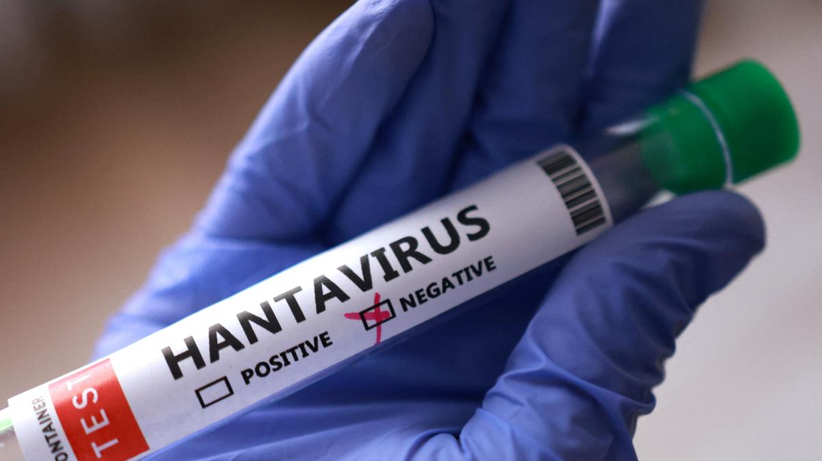 A test tube labelled "Hantavirus negative" is held in this illustration taken May 7, 2026. REUTERS/Dado Ruvic/Illustration