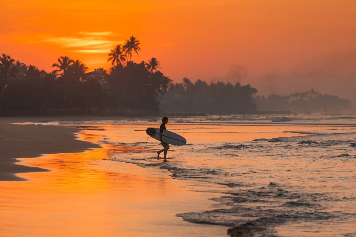  Crocodiles are native to coastal ecosystems that sometimes overlap with surfing beaches.