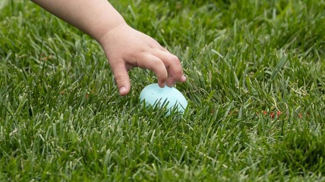 Three killed in Germany when wind fells tree during Easter egg hunt 
