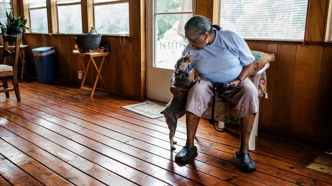Grandma Babysits American Bully, and It Went Exactly How You Would Imagine 
