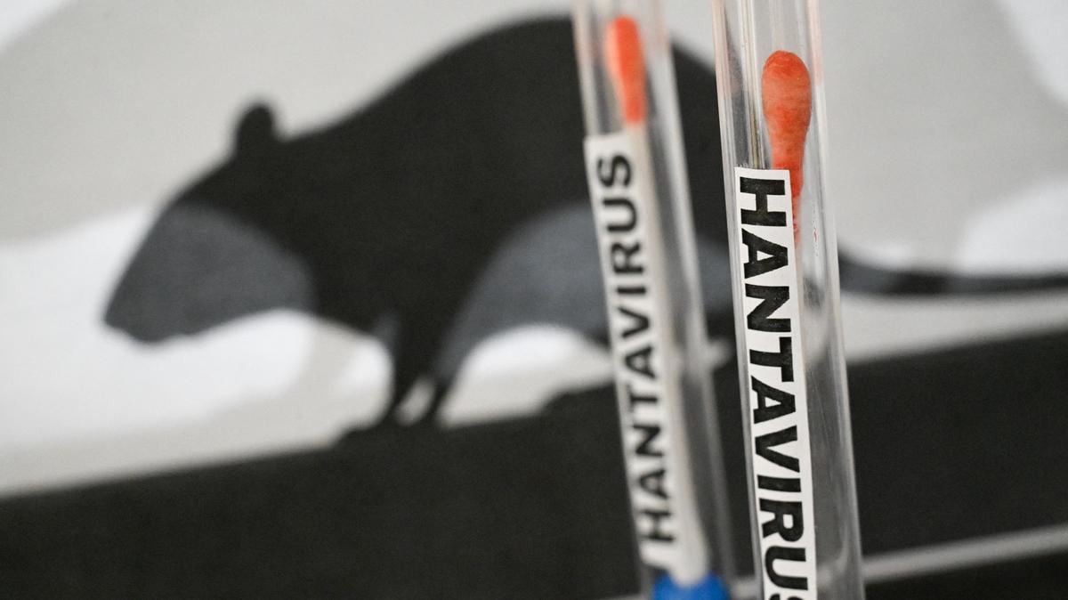 FRANCE-ILLUSTRATION-HANTAVIRUS. ILLUSTRATION of a hantavirus testing concept with laboratory tubes containing cotton swabs and HANTAVIRUS labels alongside rat silhouettes in the background evoking rodent borne transmission photographed in Paris France May 4 2026. (Photo by Joao Luiz Bulcao / Hans Lucas / AFP via Getty Images)