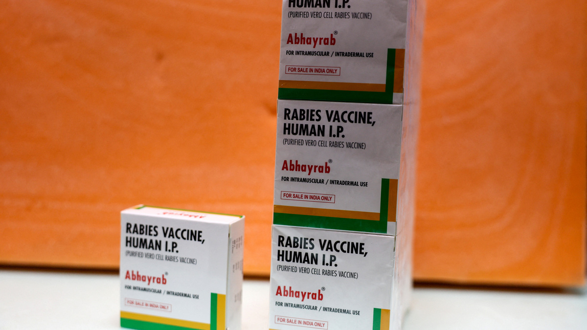 Exclusive-India flags Abhayrab rabies vaccine batch as substandard, probes if spurious, document shows