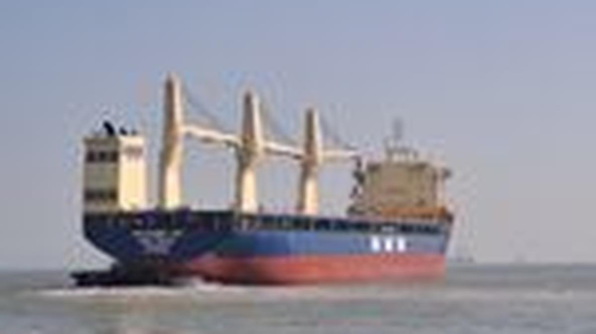 FILE PHOTO: The Panama-flagged bulk carrier HMM Namu, in Guangzhou, Guangdong Province, China January 5, 2026.  Picture taken with a mobile phone.  HMM/Handout via REUTERS/File Photo