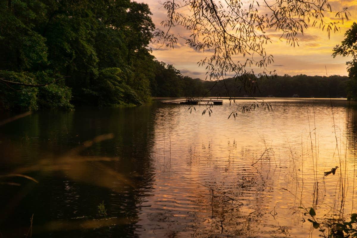  Lake Hartwell is an active snake location in Georgia.