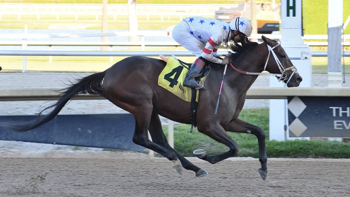 Graded Winner Steal Sunshine Back On Turf For Mambo Meister Handicap 