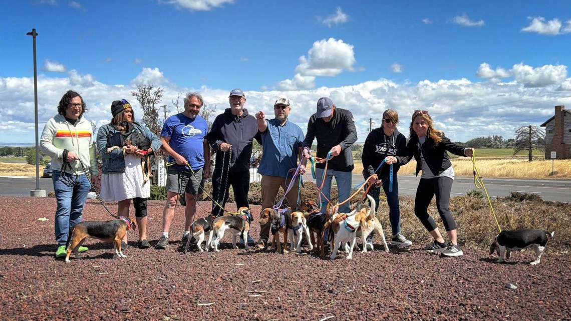 16 Dogs, 13 Volunteers, 4 EVs, and a 1,811-Mile Rescue Mission 