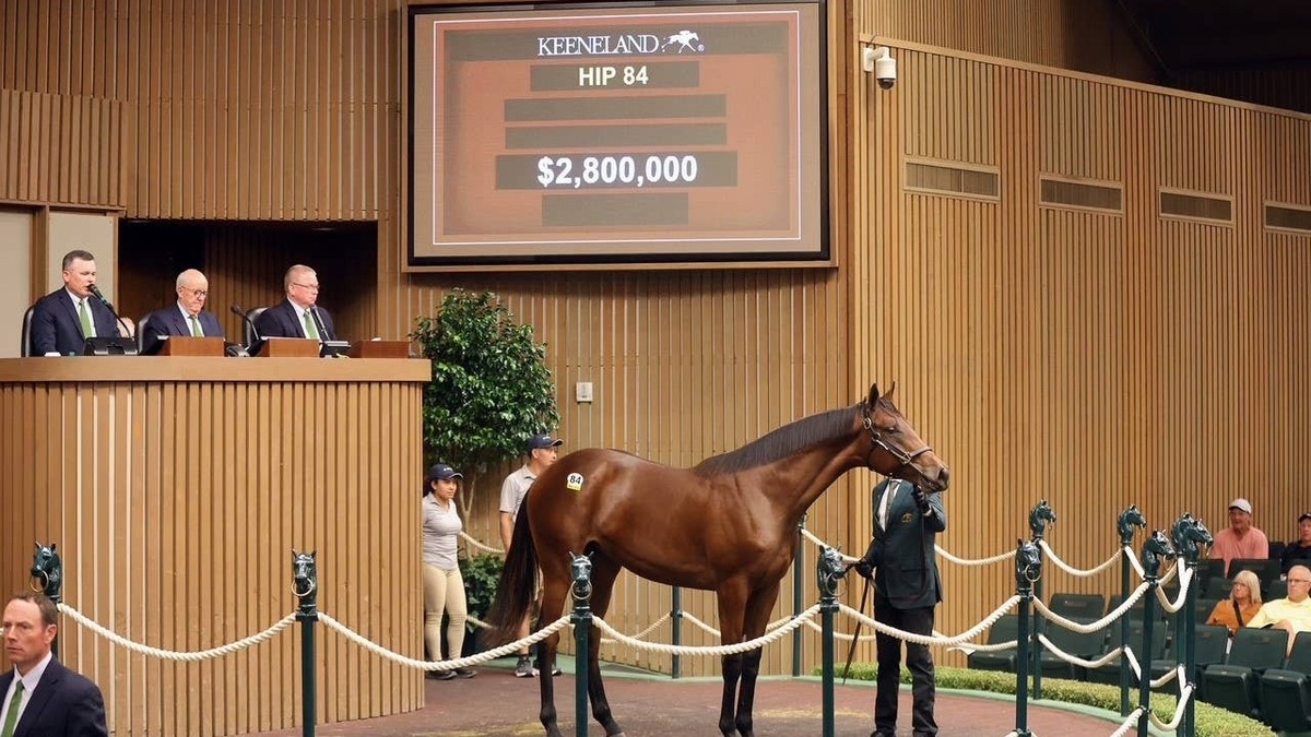 Keeneland September Sale Opens 2026 Renewal Grossing $71,770,000