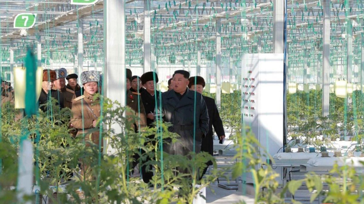 North Korea's leader Kim Jong-un touring a vegetable greenhouse farm and a tree nursery which were completed in Jungphyong area, Kyongsong County, North Hamgyong Province, North Korea. Photo by KCNA / EPA