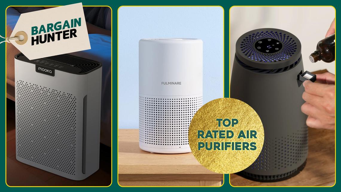 Ease the Sneeze: Shop These 10 Top-Rated Air Purifiers to Help Soothe Spring Allergies 