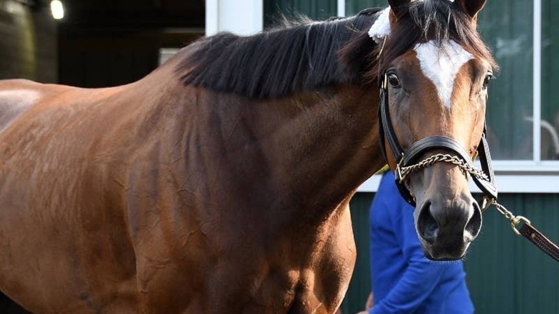 ‘Like Her Dam, She's A Sweetheart': First Foal From Champion Malathaat To Debut Saturday At Saratoga 