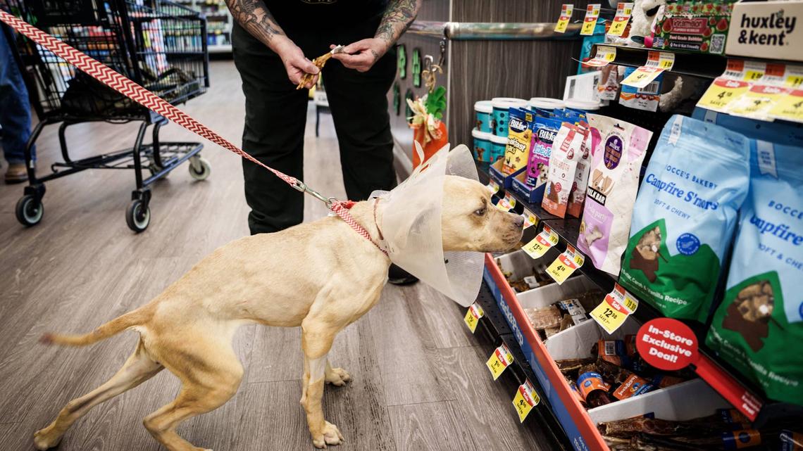 Another Pet Supplies Plus franchisee files Chapter 11 bankruptcy 