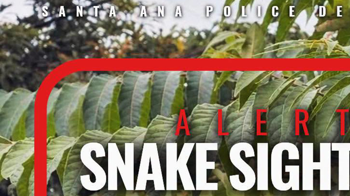 California snake hoax highlights challenges of detecting AI-generated images 
