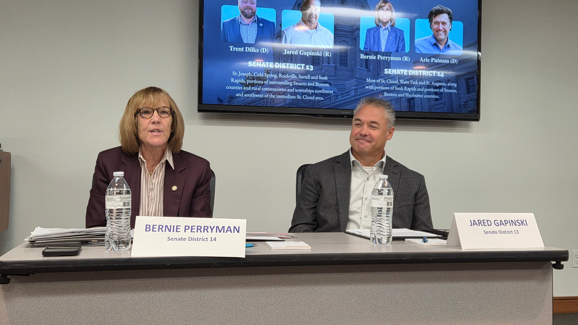 Who's running in Minnesota state Senate District 13?