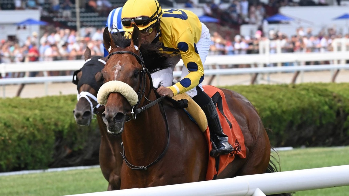 Breeders' Cup Works: Far Bridge, Gaudreau, Domestic Agenda In Action At Belmont 